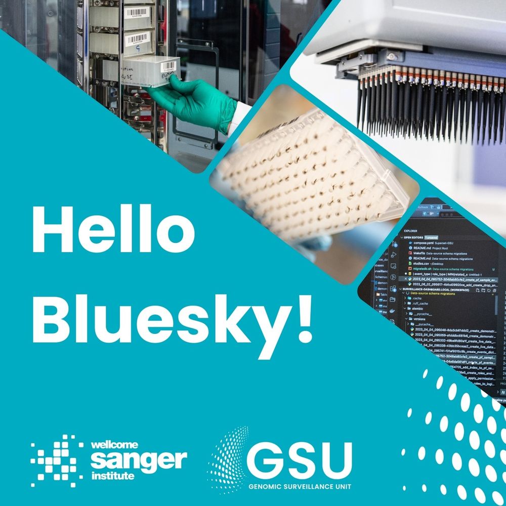 Hello Bluesky