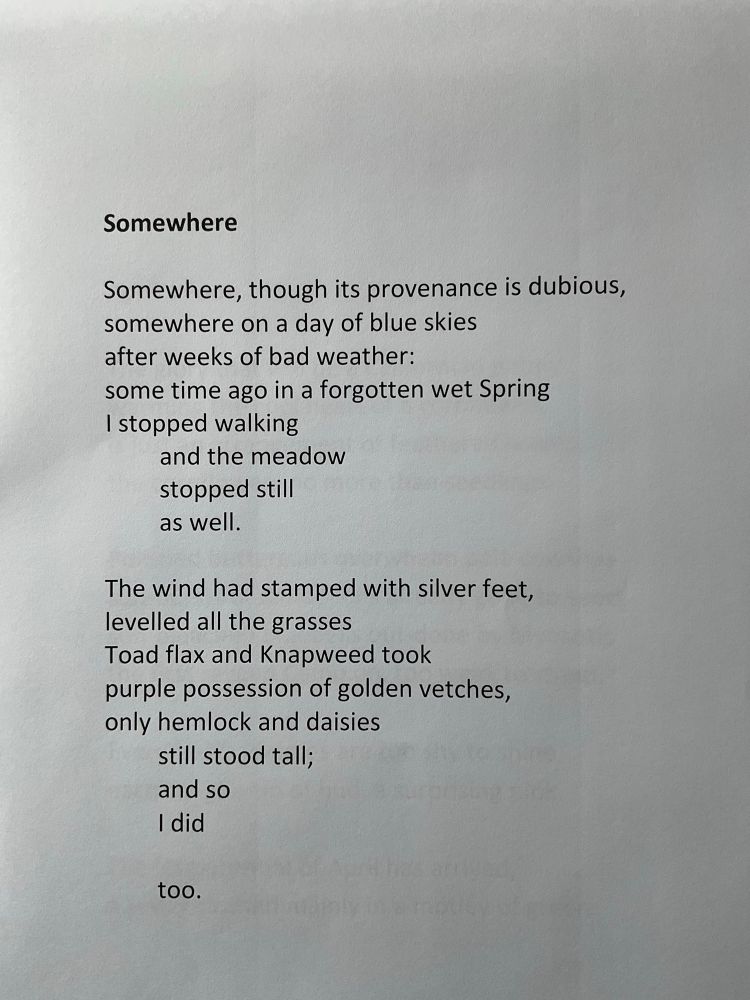 Light hearted description of a memory of Spring