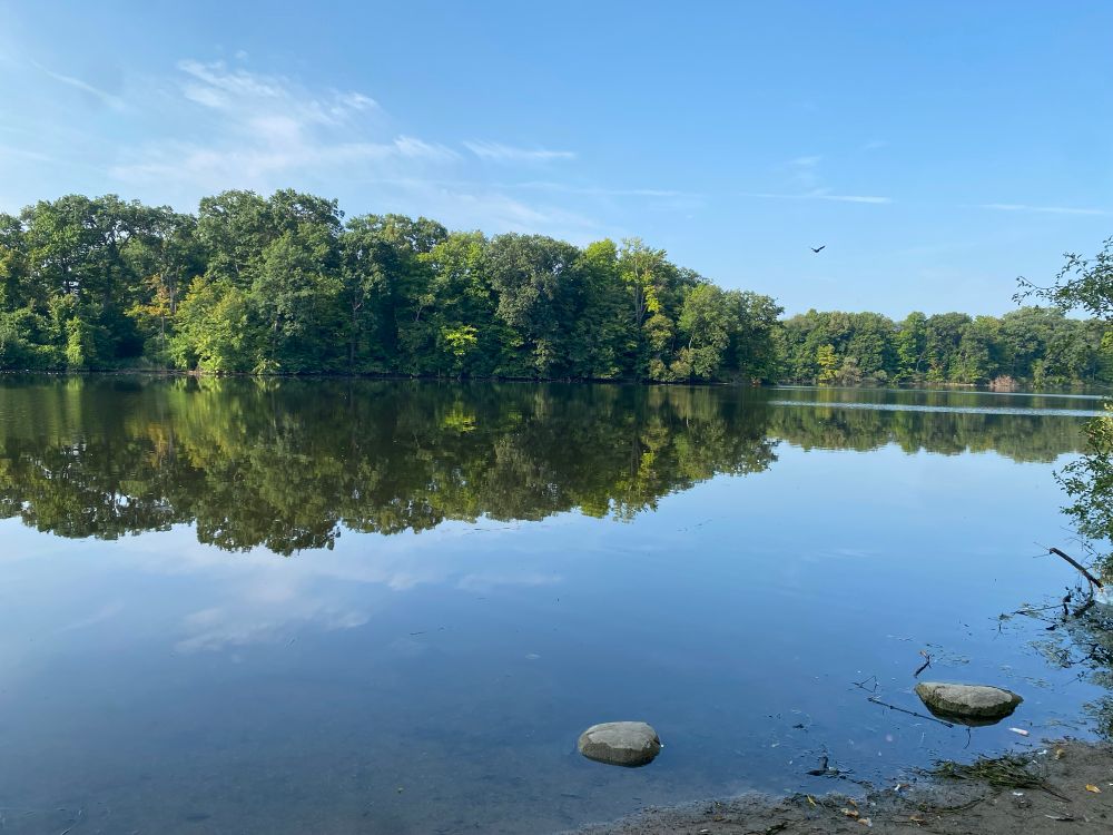 Calm lake on a sunny morning 