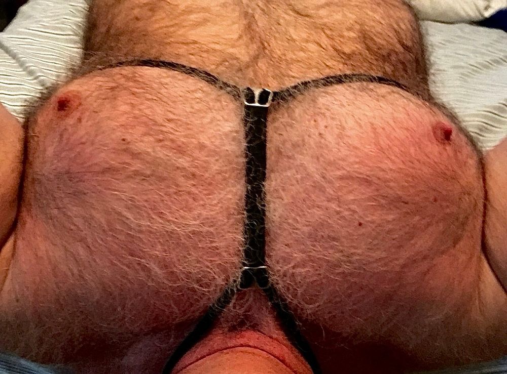 Lying on the bed, bare chested except for an old school dog harness framing the pecs