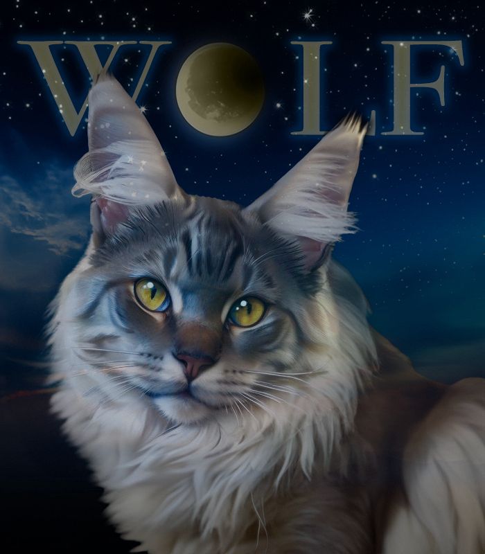 Generative art portrait of the same kitten, against a night sky with his name in the background. His name is Wolf, and the O in wolf is being formed by a full moon.