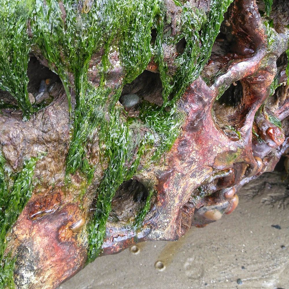 A close up of the perforations showing shells a d pebbles in the holes and deep copper rust colour on the object.