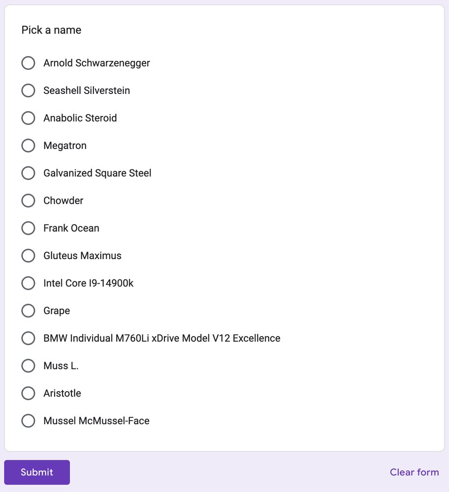 A google form to pick a name. Options are:

- Arnold Schwarzenegger
- Seashell Silverstein
- Anabolic Steroid
- Megatron
- Galvanized Square Steel
- Chowder
- Frank Ocean
- Gluteus Maximus
- Intel Core 19-14900k
- Grape
- BMW Individual M760Li xDrive Model V12 Excellence
- Muss L.
- Aristotle
- Mussel McMussel-Face