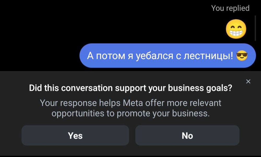 Скриншот лички в инстаграме (запрещённая в РФ дофаминовыкачивающая помойка)

Кто-то: 😁
Я: А потом я уебался с лестницы! 😎

Баннер внизу экрана: Did this conversation support your business goals? Your response helps Meta offer more relevant opportunities to promote your business