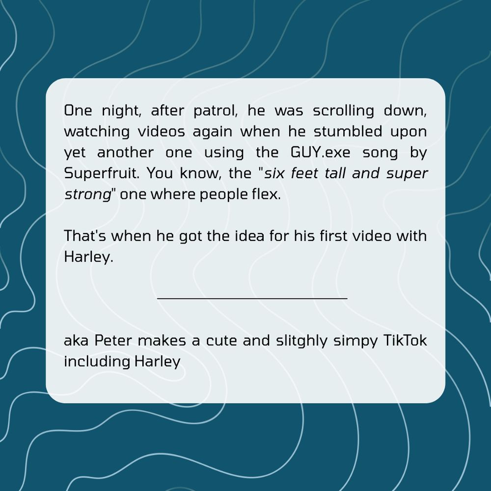 One night, after patrol, he was scrolling down, watching videos again when he stumbled upon yet another one using the GUY.exe song by Superfruit. You know, the " six feet tall and super strong " one where people flex.

That's when he got the idea for his first video with Harley.

—

aka Peter makes a cute and slitghly simpy TikTok including Harley