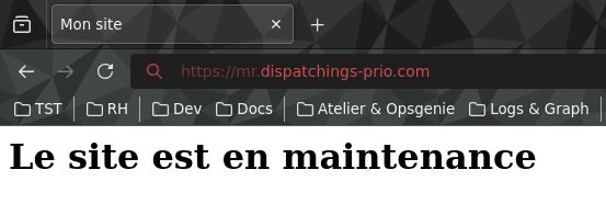 Image d'un test de se rendre sur le nouveau site en utilisant juste son nom de domaine pour voir une page par défaut et vide qui indique que le site est en maintenance 