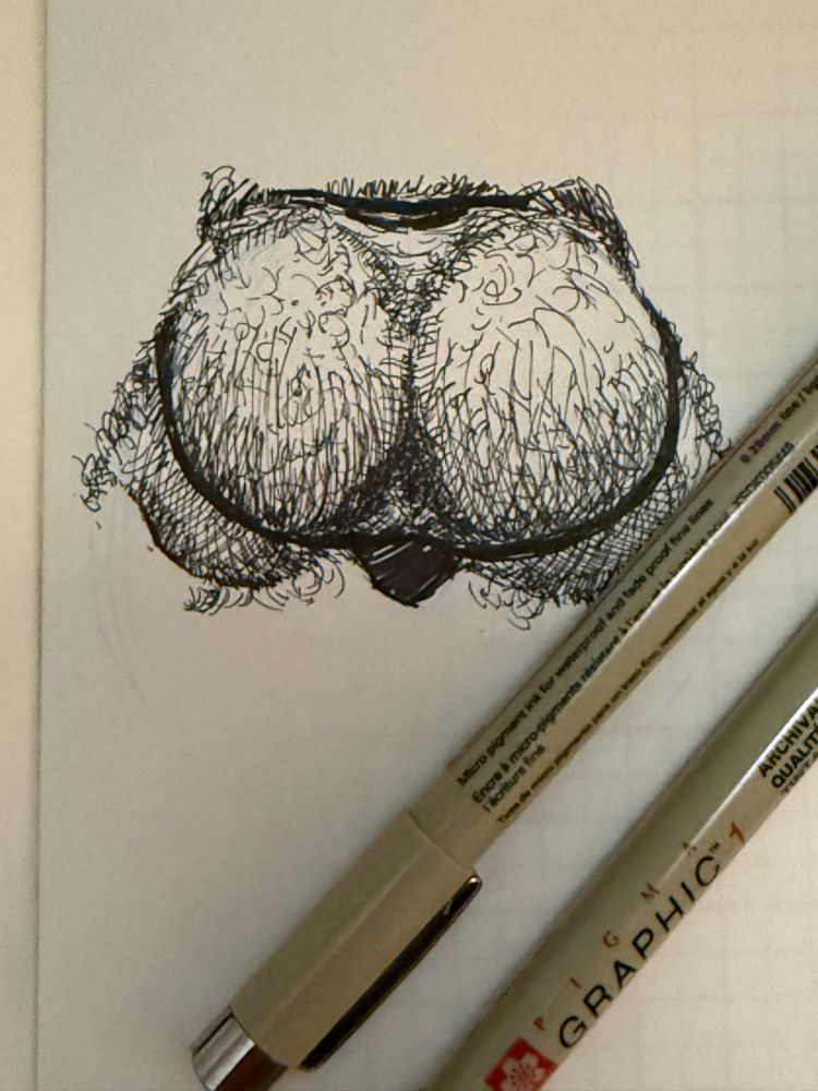 A pen sketch of a round fuzzy butt. 