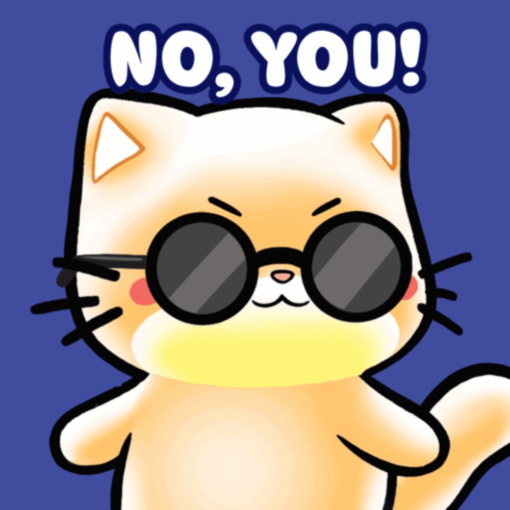 a cartoon cat with sunglasses and the words no you