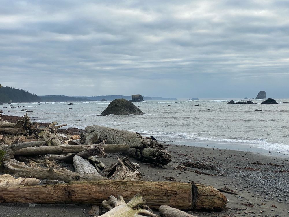 The Pacific Ocean from the beaches along the Ozette River. The sky is dark and cloudy, with sun peeking through the weaker spots. The beach is dark and rocky, while dozens of large boulders and islands protrude from the surf.