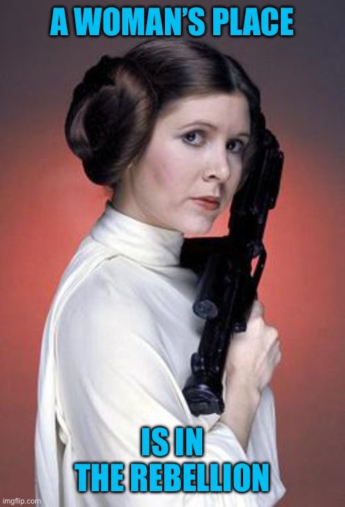 A woman’s place is in the Rebellion (Picture of Princess Leia)