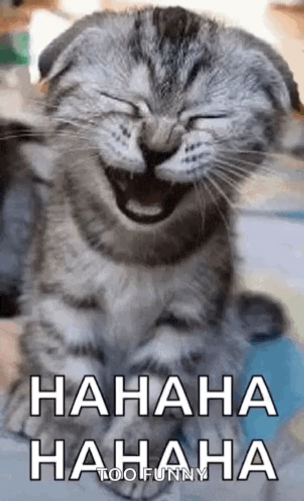 a cat is laughing with its eyes closed and the words `` hahaha hahaha too funny '' written below it .