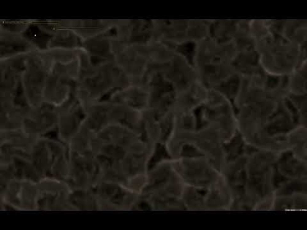 2025 08 04 00 49 59