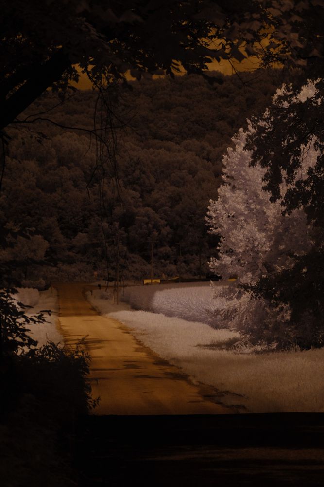 Infrared captures with a 720nm filter
