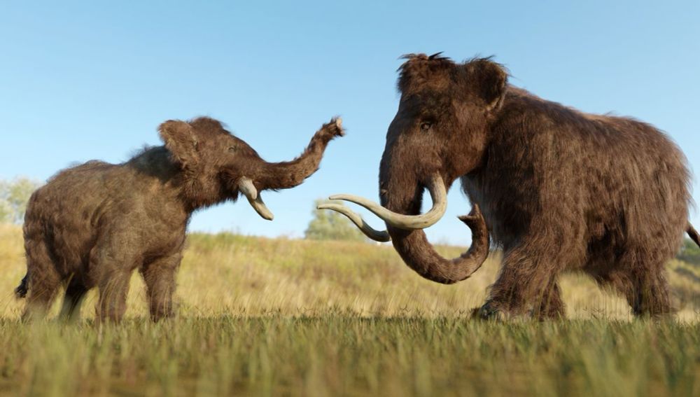 Hay Fever Helped To Wipe Out Mammoths In Post Ice Age Ecosystem, Study Claims