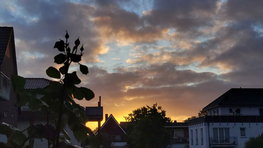 Häuser im Gegenlicht der aufgehenden Sonne. Einige Wolken am Himmel. Ein Farbspuel aus Blau, Grau, Gelb und Orangetönen.
