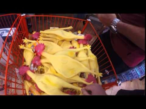 Rubber chickens