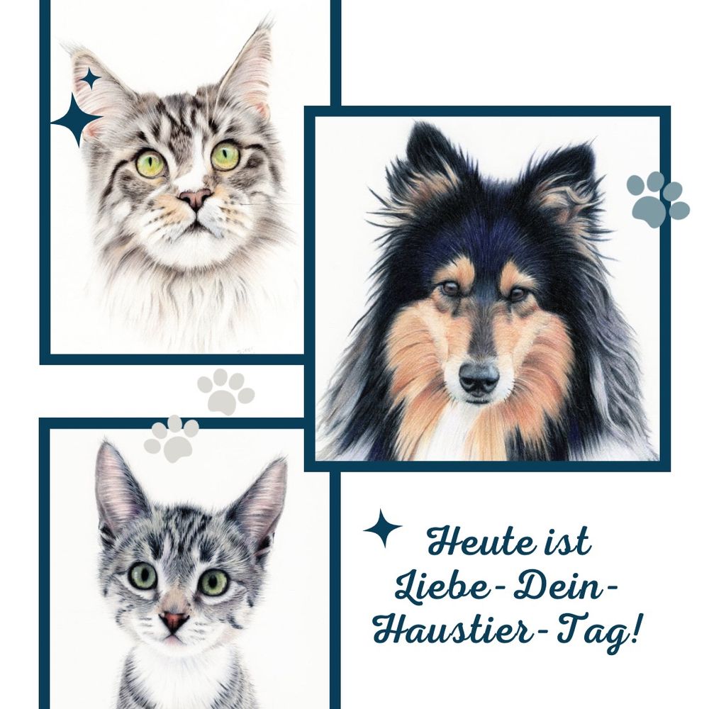 Collage aus drei Zeichnungen von mir. Gezeichnet im realistischen Stil ist ein Collie, eine Maine-Coon-Katze und ein Kätzchen. Auf der Collage steht: Heute ist Liebe-dein-Haustier-Tag