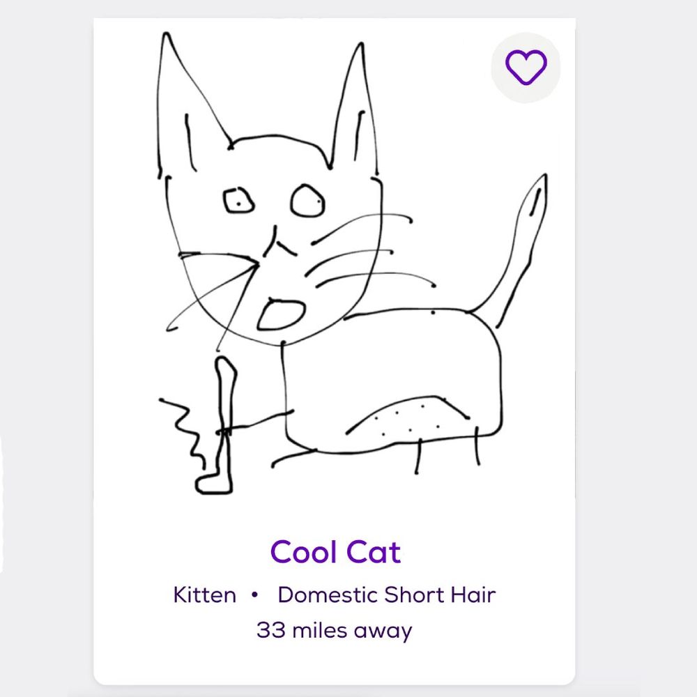 Jacob's 'cool cat' drawing photoshopped onto a Petfinder.com listing for an adoptable kitten.