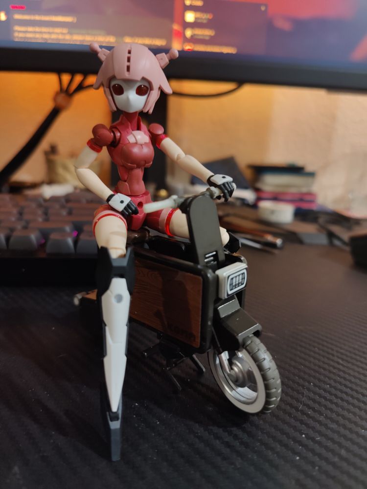 30mm Acerby type A
30ms float unit
SO-TA icoma tatamel