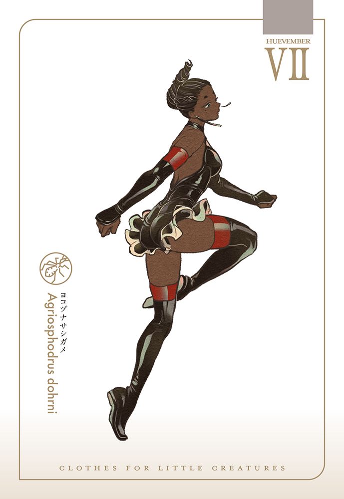 ヨコヅナサシガメ