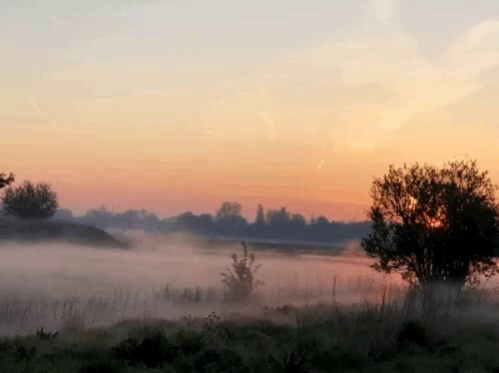 a sunset over a foggy field with trees in the background