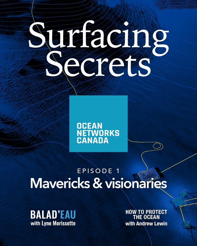 Promotional graphic for "Surfacing Secrets Episode 1: Mavericks & Visionaries," showcasing vibrant colours and engaging typography.