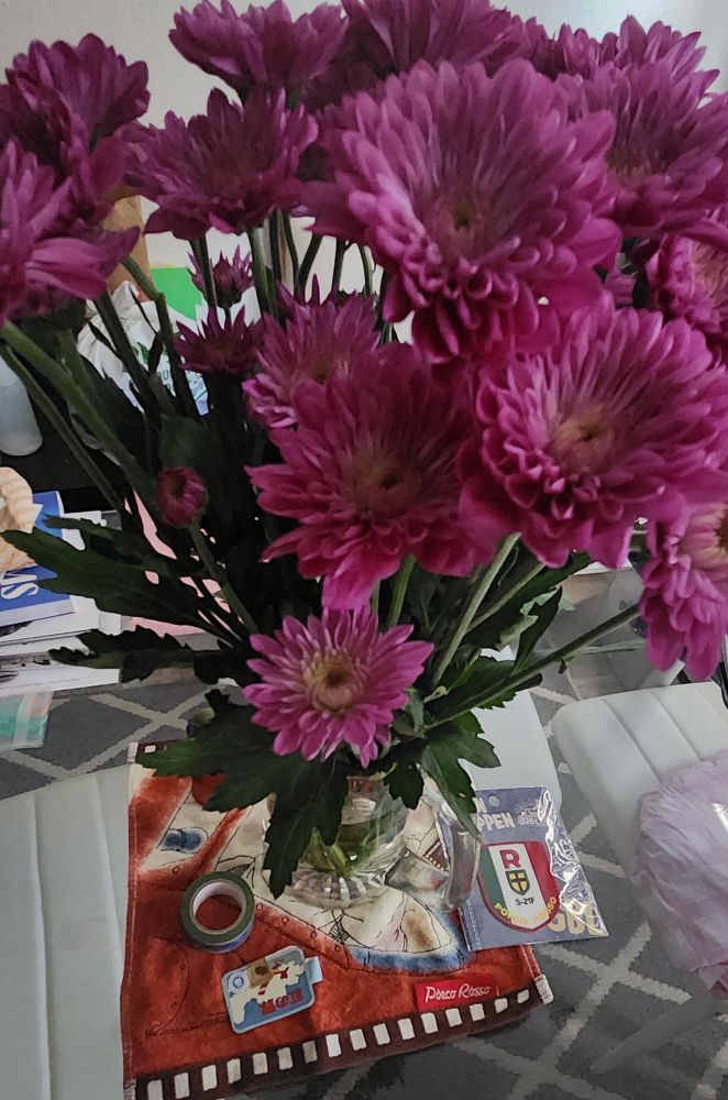 Magenta flowers in a glass mug on a table. (I'm sorry I can't remember what kind of flowers these are.)