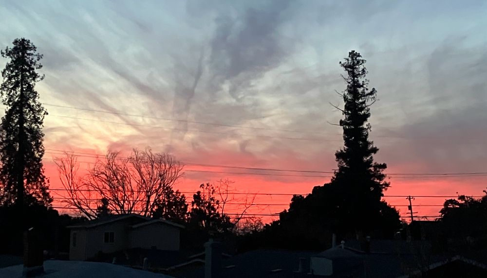 Sunset between two trees, the sky’s particularly red near the horizon 