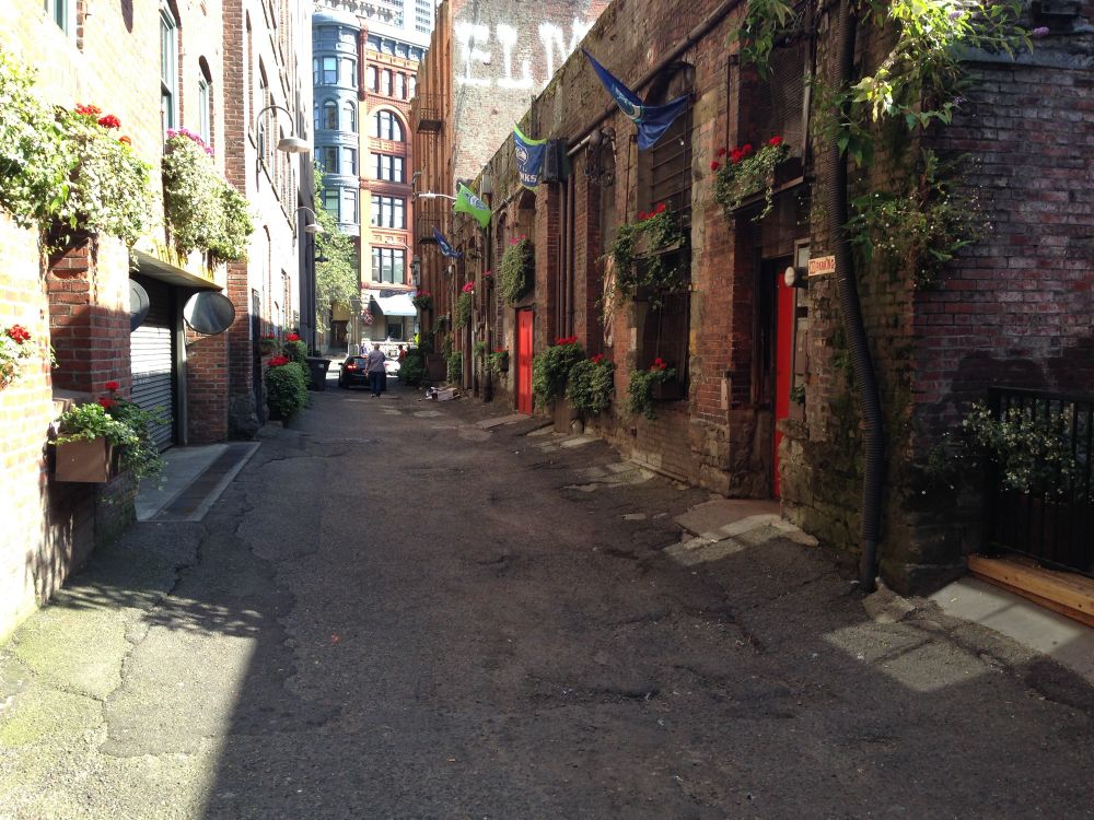 An alley with plants and doors to small commercial spaces.