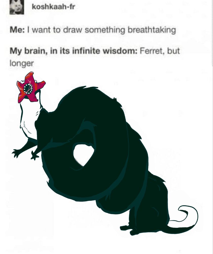A meme template reading:
Tumblr user Koshkaah-fr
Me: I want to draw something breathtaking

My brain, in its infinite wisdom: Ferret, but longer

Underneath is an illustration of Bella, my void tainted ferret OC stretched out long