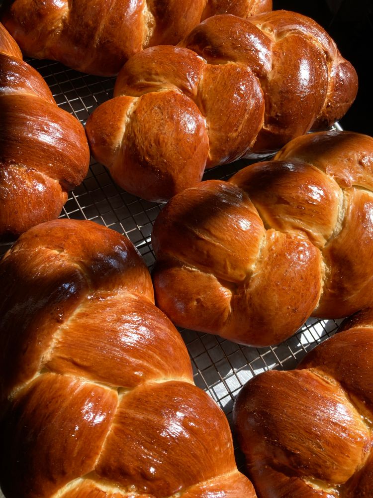 Five loaves of braided challah bread, glossy and golden brown with a diagonal shadow down the center from a nearby window, resting on a cooling rack.