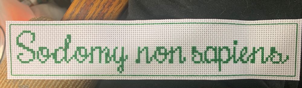 Long white fabric bookmark with green cross stitch “sodomy non sapiens”