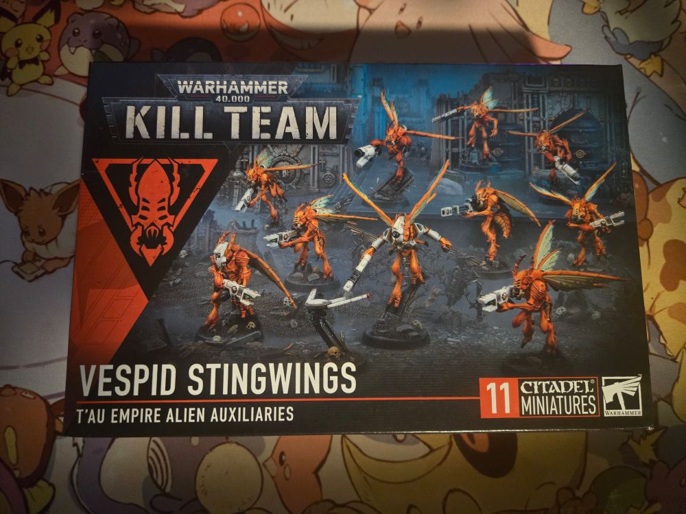 The box for a Vespid Stingwing Kill Team