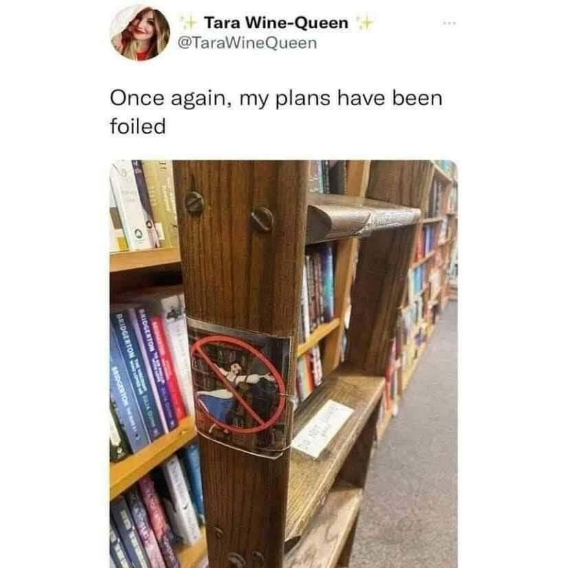 Post by Tara Wine-Queen
"Once again, my plans have been foiled"

Picture of a library ladder with picture on it from Beauty and the Beast where Belle is singing and dancing on a library ladder. With a large Forbbiden mark over it. 

