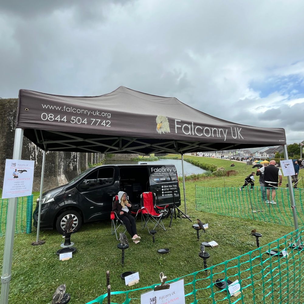 The Falconry UK tent, for credit. Their website is www.falconry-uk.org and their phone number is 0844 504 7742. Each of the little black stands in the grass held a bird, but it started to rain so this is a crappy snap.
