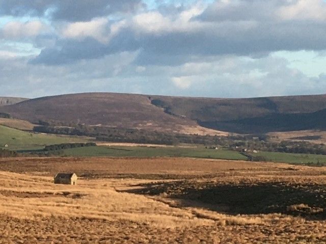 Forest of Bowland National Landscape - view of moorland and banket bog