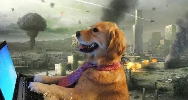 A meme of a golden retriever dog facing left with paws on a keyboard, with a red tie on, tongue out, staring into a computer screen. This has been photoshopped onto a mostly gray scene of some sort of war zone/partially destroyed city scape with explosions, fires, smoke clouds, and warplanes flying among buildings. 
