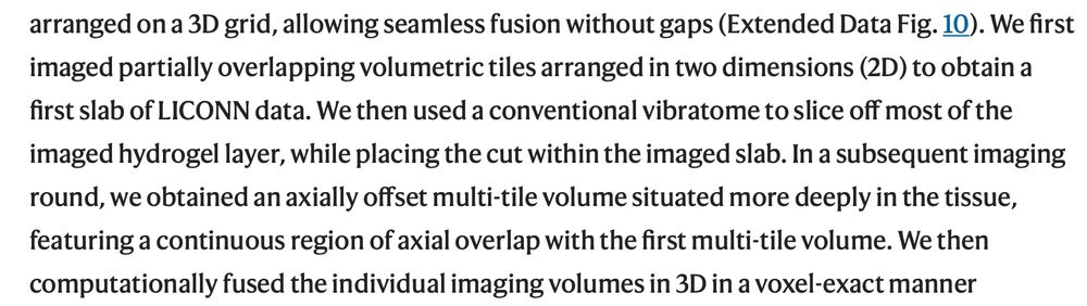 We first imaged partially overlapping volumetric tiles arranged in two dimensions (2D) to obtain a first slab of LICONN data. We then used a conventional vibratome to slice off most of the imaged hydrogel layer, while placing the cut within the imaged slab. In a subsequent imaging round, we obtained an axially offset multi-tile volume situated more deeply in the tissue, featuring a continuous region of axial overlap with the first multi-tile volume. We then computationally fused the individual imaging volumes in 3D in a voxel-exact manner