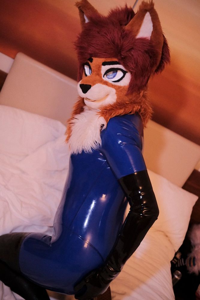 Cat fursuiter posing on hotel bed wearing blue shiny latex bodysuit, black latex gloves, and thigh high latex stockings.