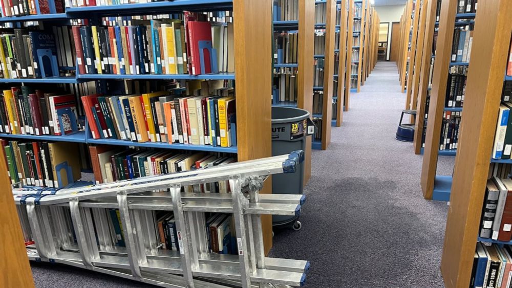 New College fires librarian over book disposals