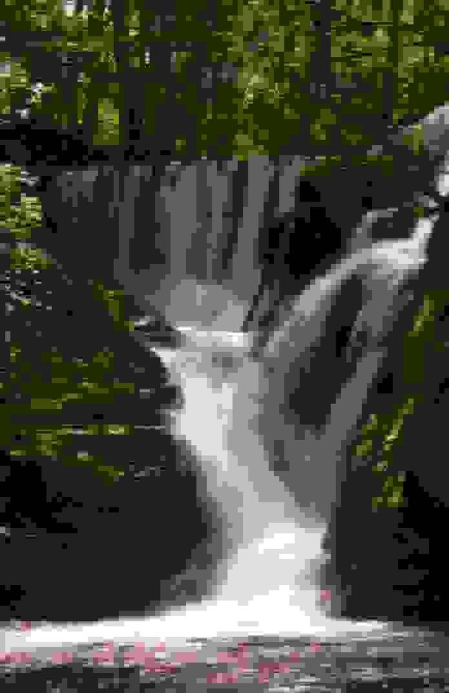 Comment image