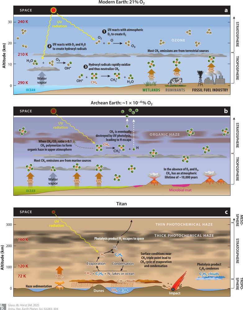 Schematics of atmospheric CH4 cycling on (a) modern Earth, (b) Archean Earth, and (c) Titan. (a) On modern Earth (20% O2), CH4 emissions originate primarily from wetlands, ruminants, and the fossil fuel industry. Methane is oxidized chemically in the troposphere by hydroxyl radicals (OH), with an average lifetime of 10 years. Hydroxyl radicals originate from reactions between ozone (O3), UV radiation (<320 nm), and H2O vapor. The O3 layer originates from reactions between UV radiation and O2. (b) On the Archean Earth (<0.0001% O2), in the absence of O3 and O2, CH4 would have had a much longer atmospheric lifetime (∼10,000 years), with eventual destruction by UV photolysis, leading to H escape and/or, when CH4/CO2 was greater than 0.1, polymerization to yield organic haze in the upper atmosphere. (c) On Titan, with temperatures near the CH4 triple point, there is a CH4 cycle of evaporation, photolysis to yield ethane (C2H6) and H2 (lost to space), and condensation of C2H6, whereupon it participates in surface processes.