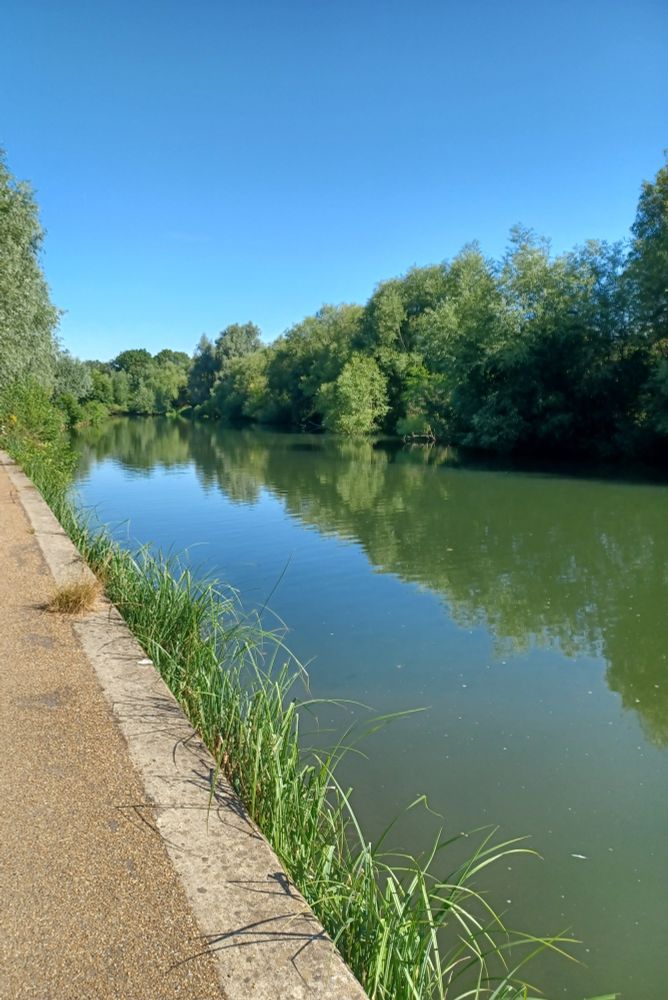 Summer morning on the towpath beside the River Thames / Isis just south of Oxford city centre. 