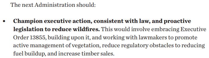 A statement, which reads:

The next Administration should:

- Champion executive action, consistent with law, and proactive legislation to reduce wildfires. This would involve embracing Executive Order 13855, building upon it, and working with lawmakers to promote active management of vegetation, reduce regulatory obstacles to reducing fuel buildup, and increase timber sales.