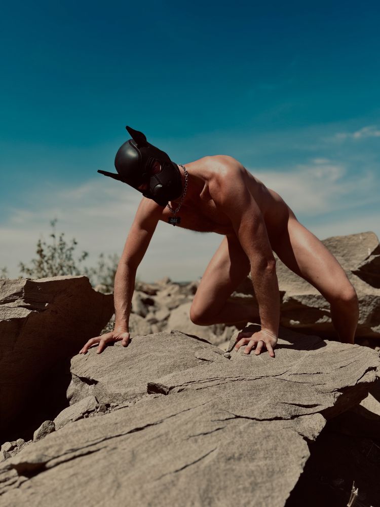 Me naked outside in a sunny day in a crawling position on a rock. I’m wearing a black pup hood