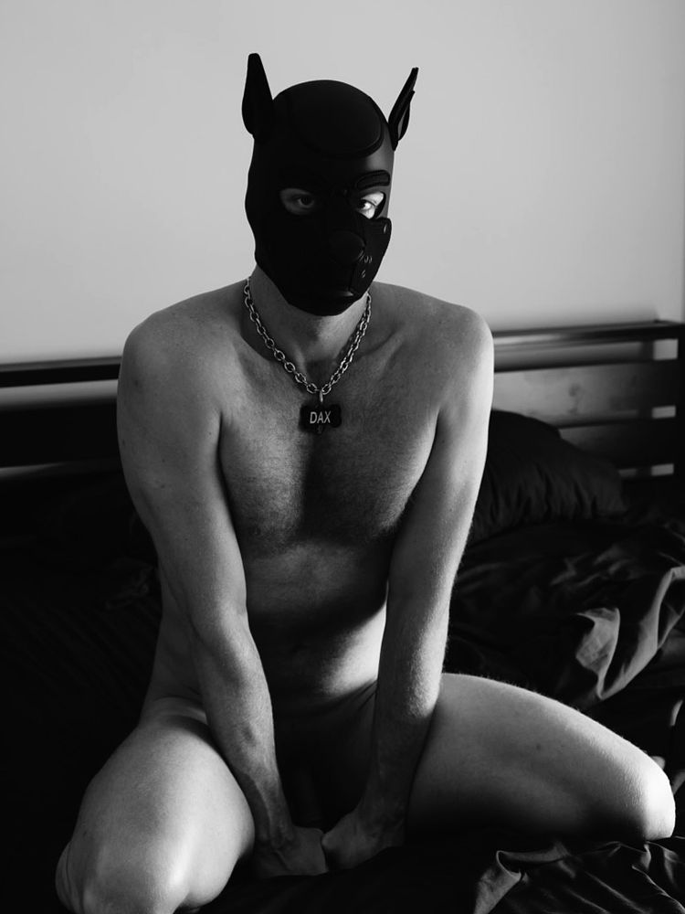 Me sitting on my heels in my bed naked with my hands in-front of my open legs partially blocking my genitals that are barely visible from a shadow. I’m wearing a black pup hood and a silver chain necklace with a black bone dog tag that reads “DAX” in silver writing. 