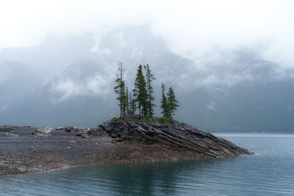 Trees stand exposed above a lake in front of cloud covered mountains