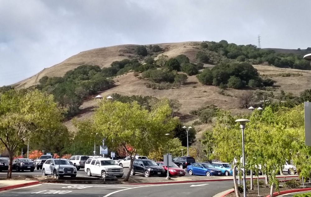 The Oakland Hills seen from the east. They are also brown, barren, and randomly dotted with trees.