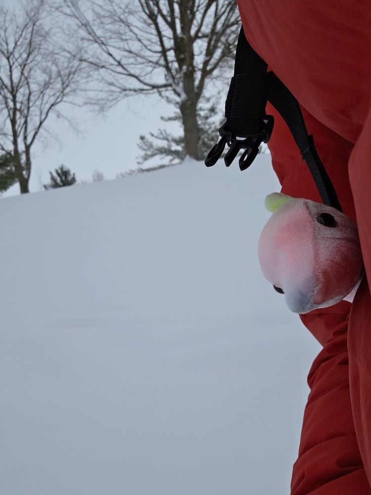 candygun enjoys the multifarious colors of blank expanses 