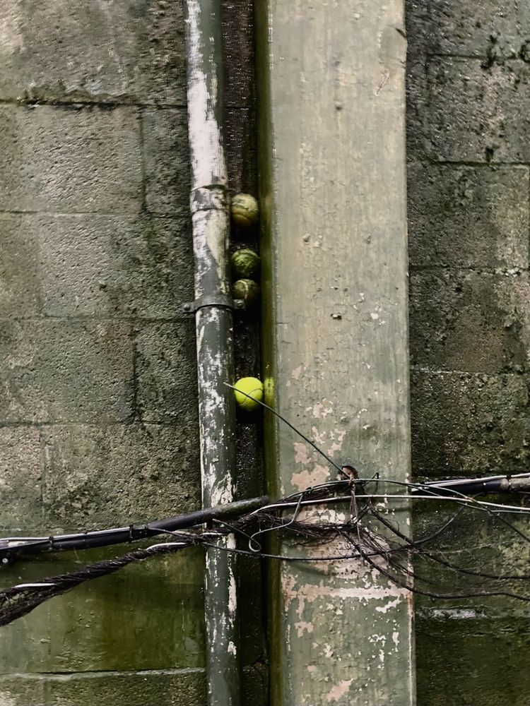 A tennis ball wedged between a concrete rib and a drainpipe. Everything is painted green and damp. Wires are strung across the frame.